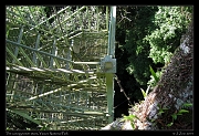  Canopy tower stairs, Yasuni National Park, Ecuador � Janet Zinn 2013